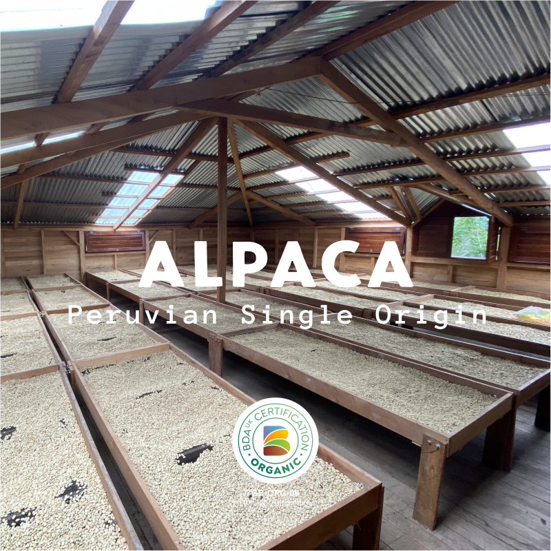 Alpaca - Peru Organic Alpaca - Peru Organic