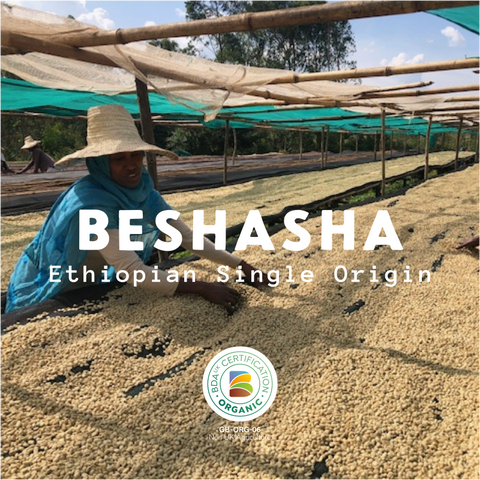 Beshasha - Ethiopia Organic