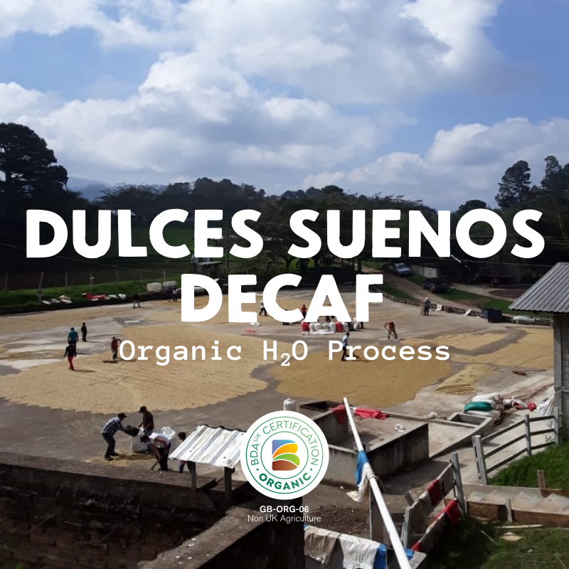 Organic Dulces Suenos Decaf - Honduras