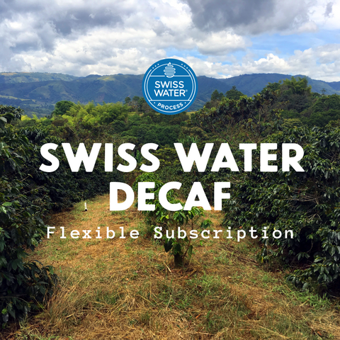 Swiss Water Organic Decaf Subscriptions