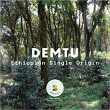 Demtu - Ethiopia Organic