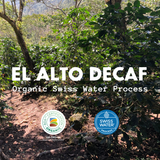 El Alto Organic Swiss Water Decaf - Honduras