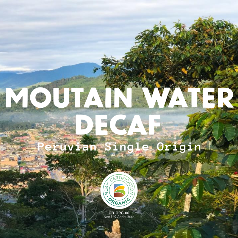 Organic Mountain Water Decaf - Peru