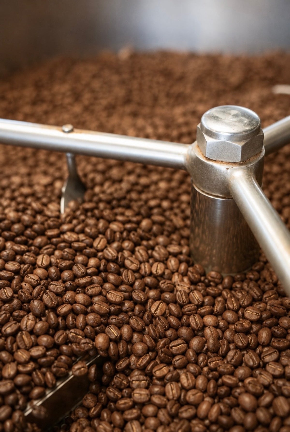 ALL COFFEES