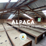 Alpaca - Peru Organic