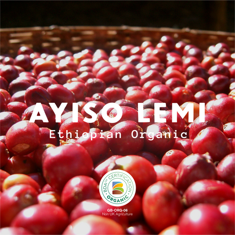 Ayiso Lemi - Ethiopia Organic