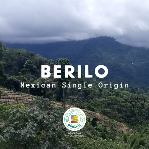 Berilo - Mexico Organic