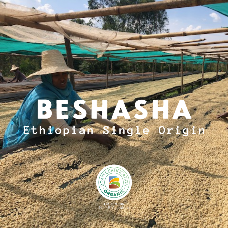 Beshasha - Ethiopia Organic
