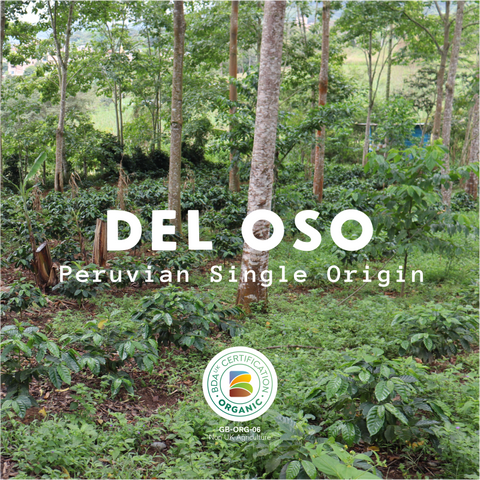 Del Oso - Peru Organic