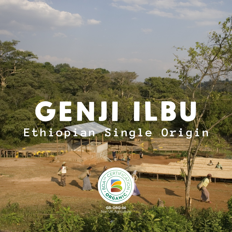 Genji Ilbu - Ethiopia Organic