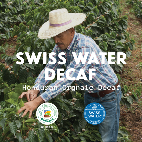 Organic Swiss Water Decaf - Honduras