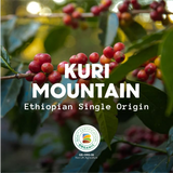 Kuri Mountain - Ethiopia Organic