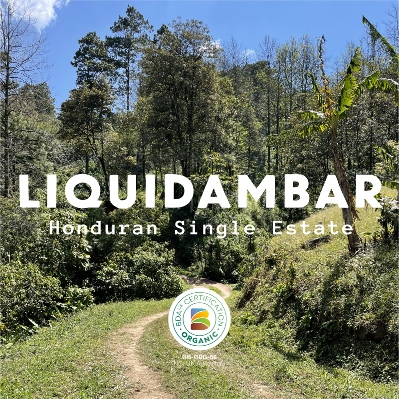 Liquidámbar - Honduras Organic