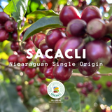 sacacli - Nicaragua Organic