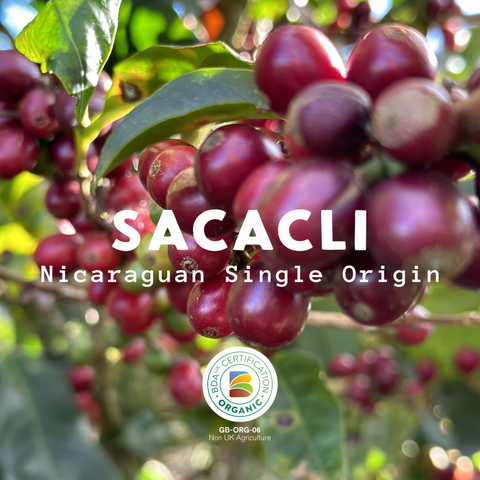 sacacli - Nicaragua Organic