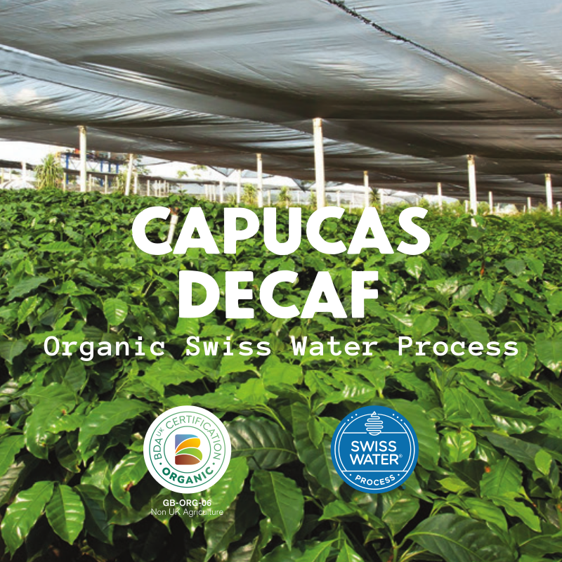 Capucas Organic Swiss Water Decaf - Honduras