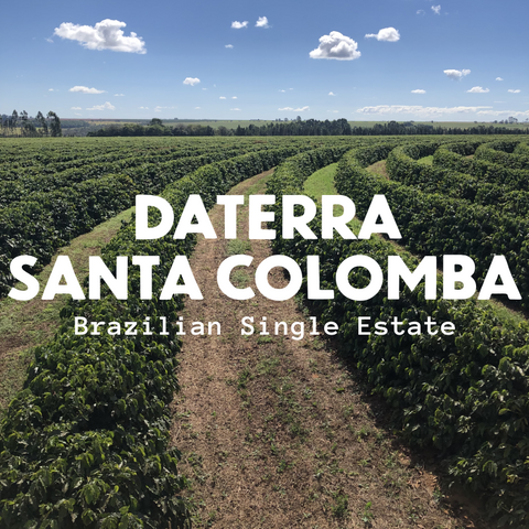 Daterra Santa Colomba - Brazilian