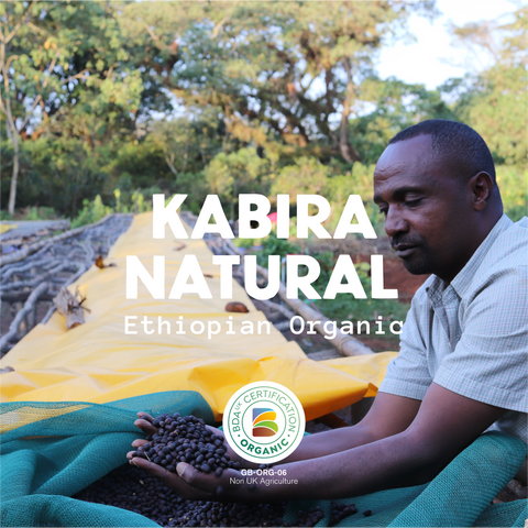 Kabira Natural - Ethiopia Organic